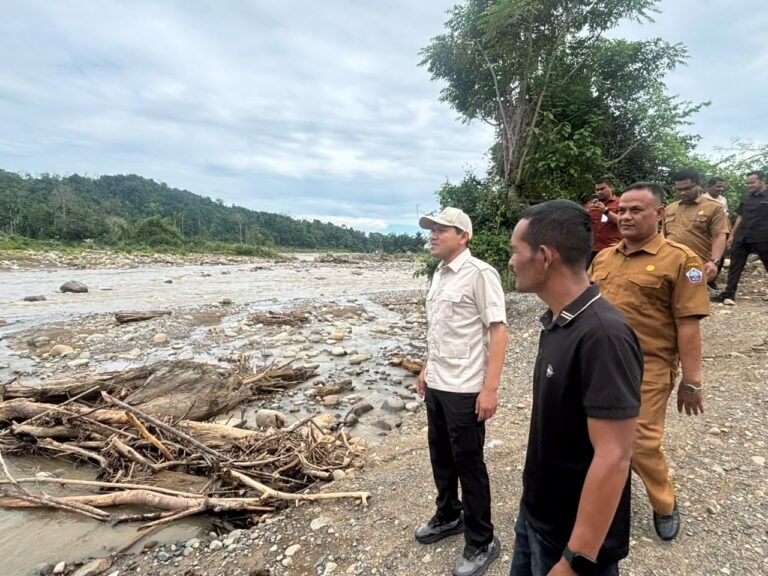 Tinjau D.I. Seunong, Wagub Dek Fadh Dorong Perbaikan Segera